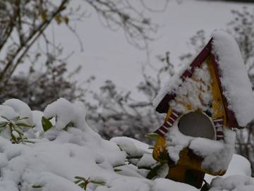Bauernhaus für 2 Personen in Mittelnkirchen, Altes Land Stade, Bild 1