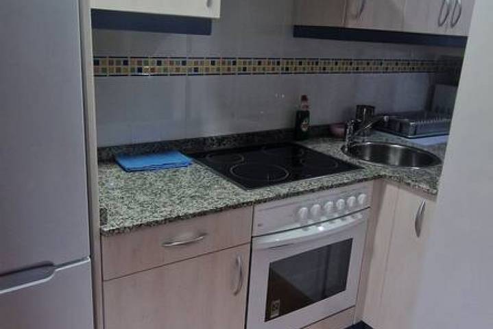 Entire apartment, 21A04 Felechosa apartment near the ski resorts in Felechosa, Aller