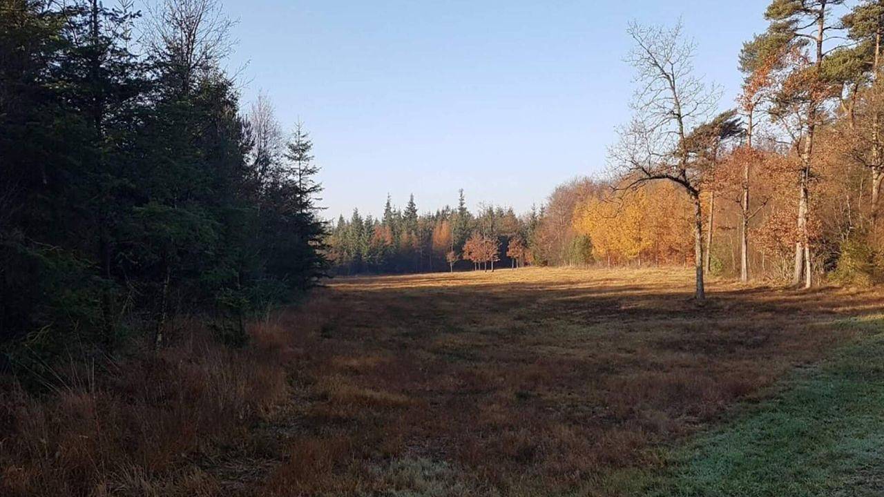 Ferienhaus für 4 Personen (46 m²) in Skærbæk in Skærbæk, Tondern und Umgebung