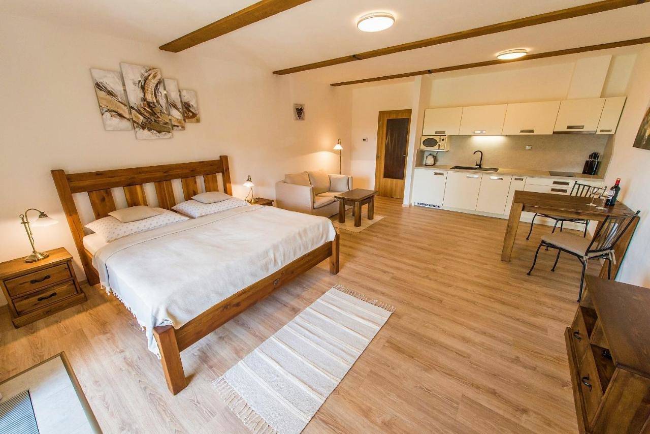 Geheel appartement, Apartment Marie in Lipno Reservoir, Lipno