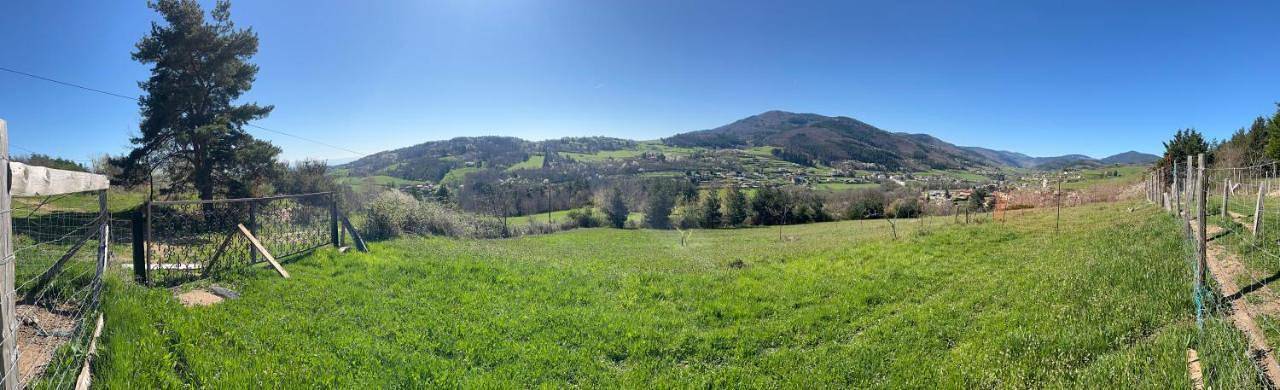 Location de vacances pour 13 personnes, avec piscine ainsi que jardin et vue, animaux acceptés à Satillieu - 2