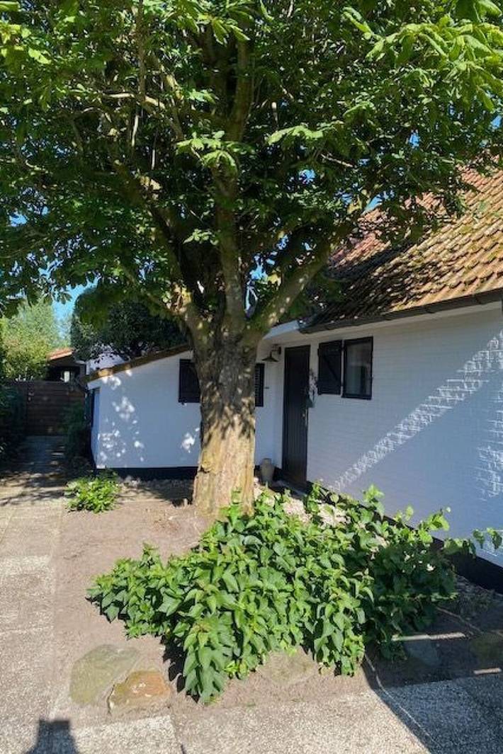 Ferienhaus für 6 Personen, mit Terrasse und Garten sowie Pool, mit Haustier in De Panne - 2