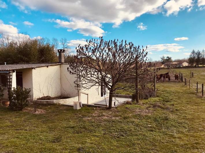Appartement de vacances pour 4 personnes, avec terrasse et jardin, animaux acceptés - 1