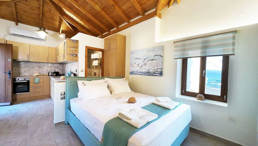 Studio für 3 Personen, mit Balkon und Terrasse sowie Garten am Pilion