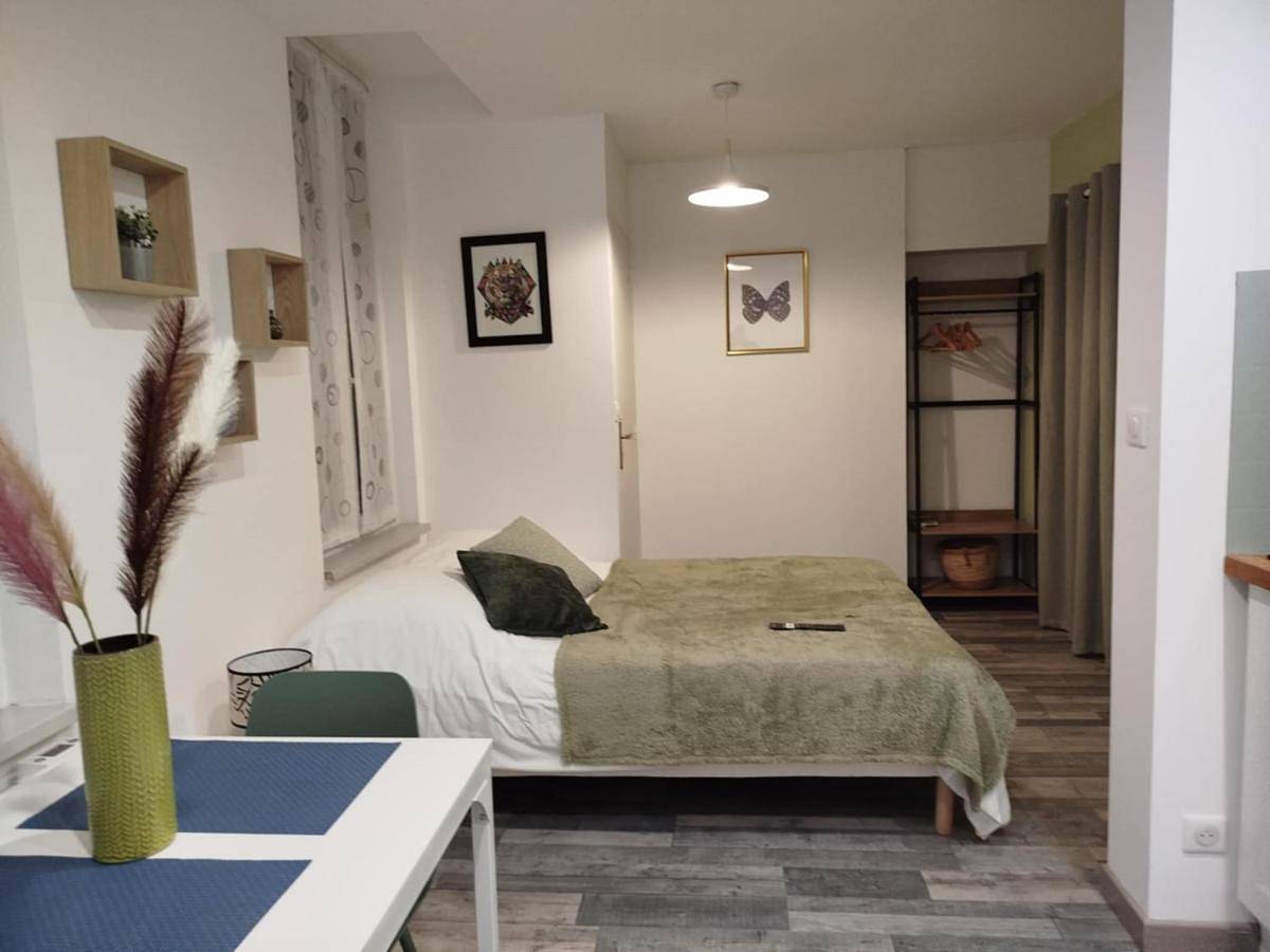 Appartement entier, One-Bedroom Apartment in Châlons-en-Champagne, Marne