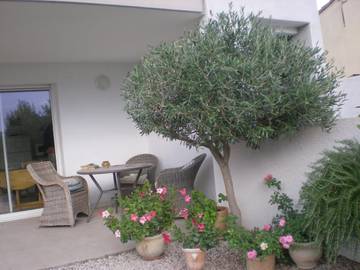 Gîte pour 2 personnes, avec jardin ainsi que vue sur le lac et vue, animaux acceptés à Marseillan