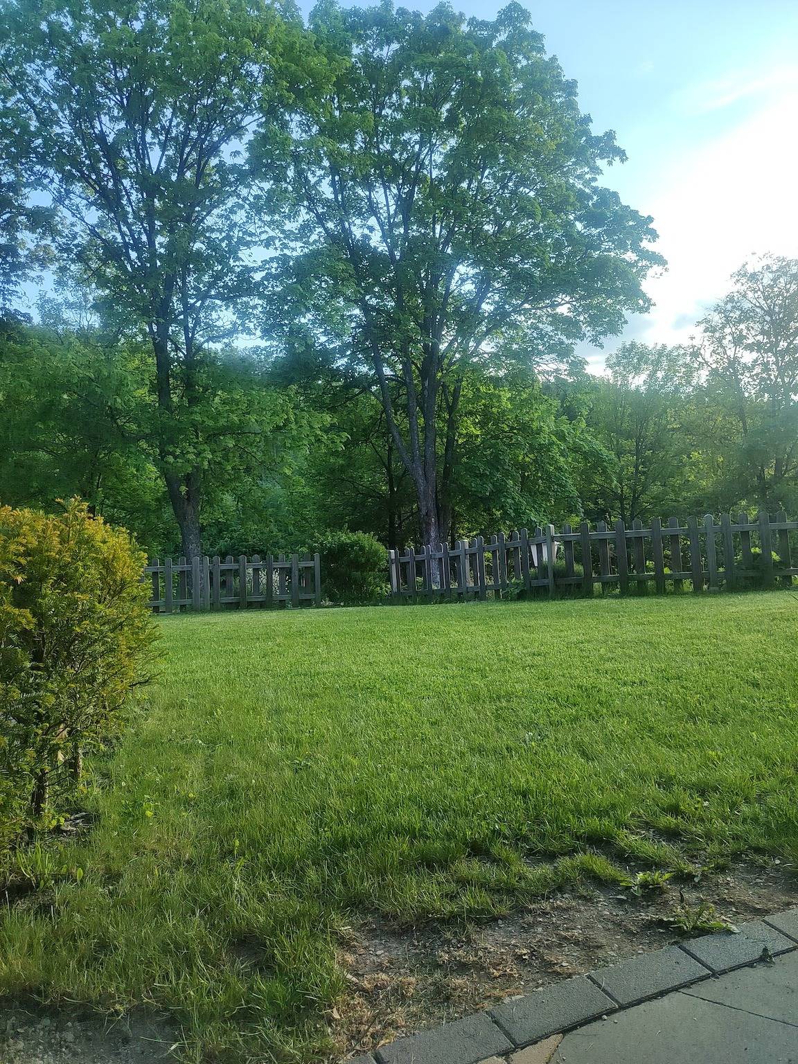 Ganze Wohnung, Apartment „Bachlauf und Waldblick Stünzel“ mit Gemeinschaftsterrasse, privatem Garten & Wlan in Schmallenberg, Hochsauerlandkreis