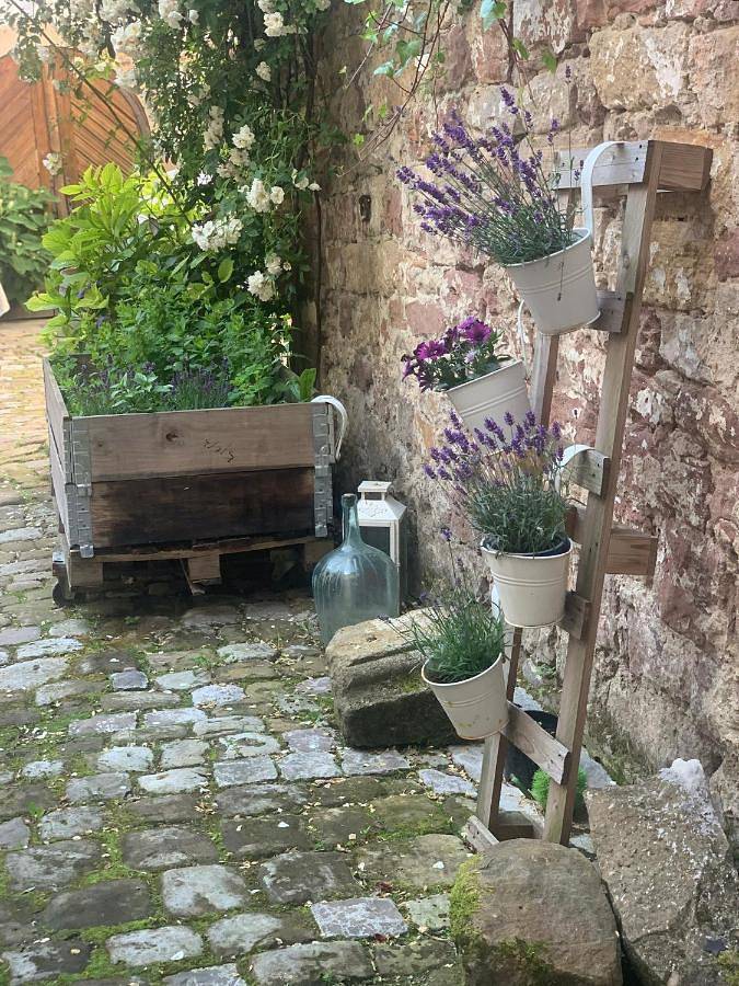 Ferienhaus für 11 Personen, mit Garten und Terrasse sowie Ausblick in Klingenmünster - 4