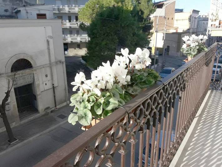 Casa vacanza per 3 persone a Canosa di Puglia