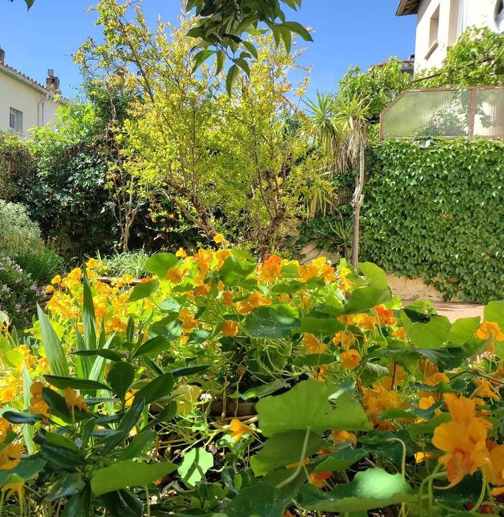 Ferienwohnung für 2 Personen, mit Terrasse und Garten in Perpignan