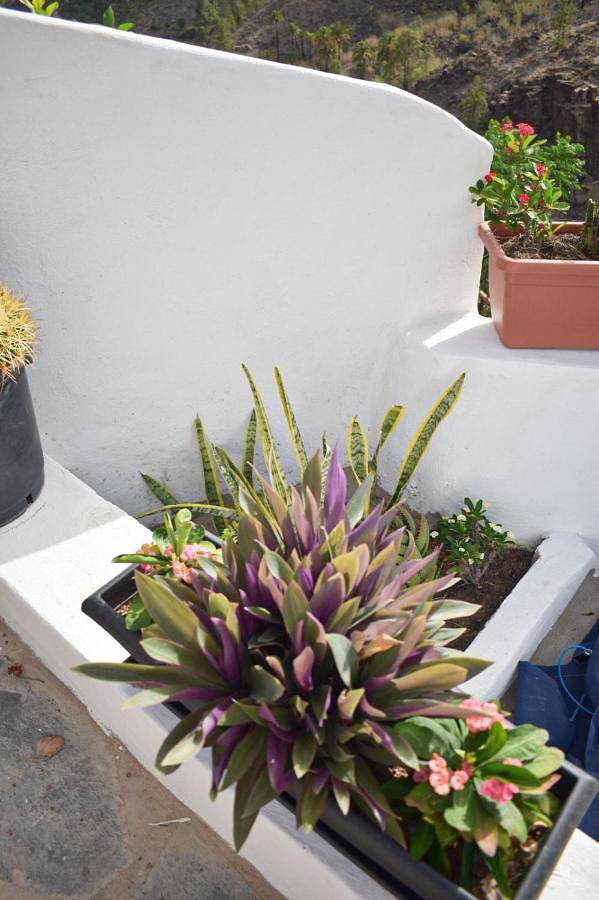 One-Bedroom House in Fataga, San Bartolomé de Tirajana