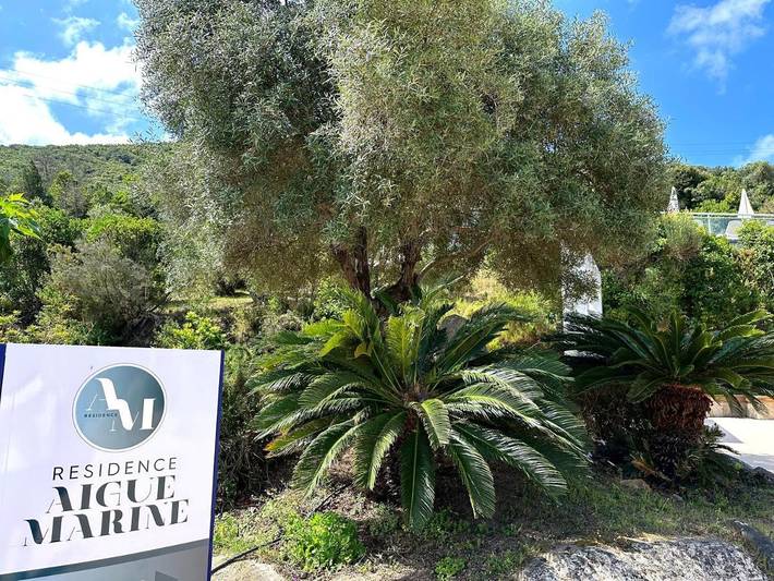 Location de vacances pour 8 personnes, animaux acceptés dans Plage d'Argent - 3