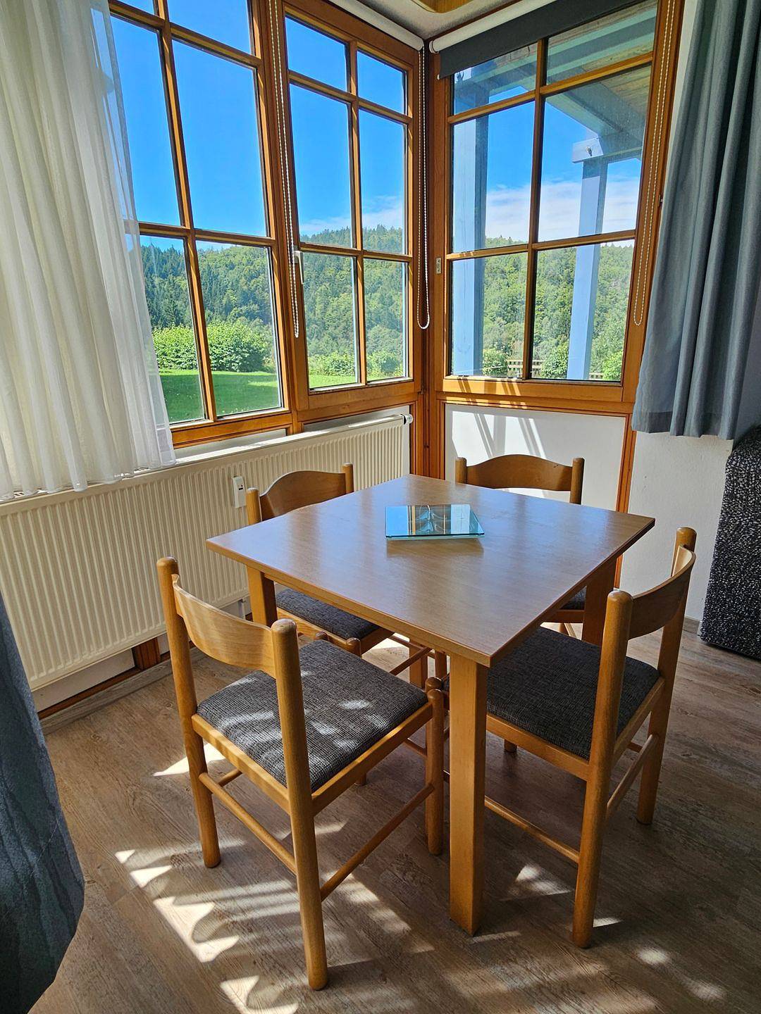 Ganze Wohnung, Zweckmässige, günstige Ferienwohnung mit Terrasse, Gartenblick und Tiefgarage im Sonnenwald in Schöfweg, Ostbayern