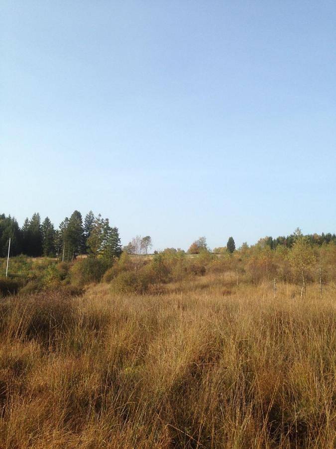 Location de vacances pour 2 personnes, avec jardin ainsi que terrasse et sauna dans Odeigne - 2