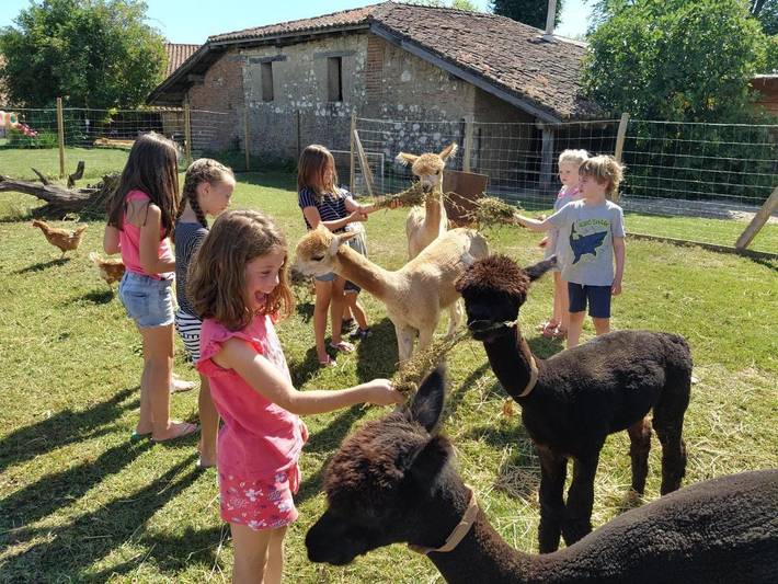 Location de vacances pour 5 personnes, adapté aux familles à Fongrave - 3