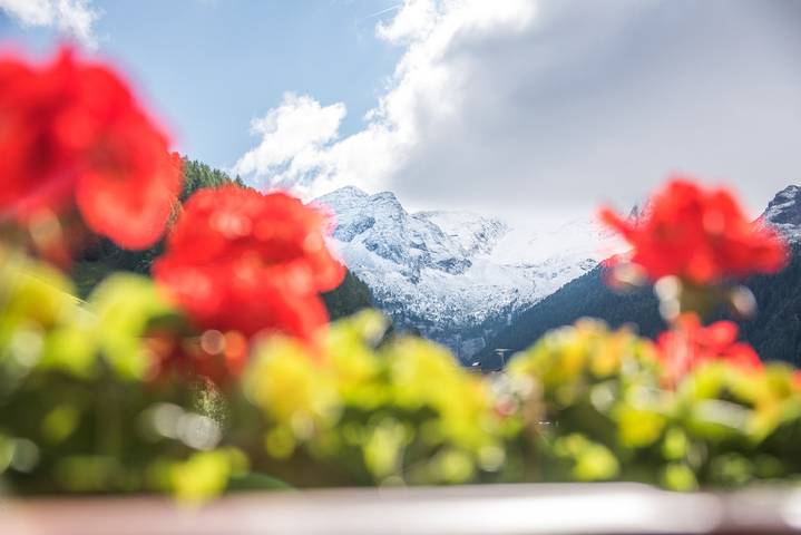 Entire apartment, Apartment "Alpenblick Nr 5" with Shared Garden & Wi-Fi in Rein in Taufers, Sand in Taufers