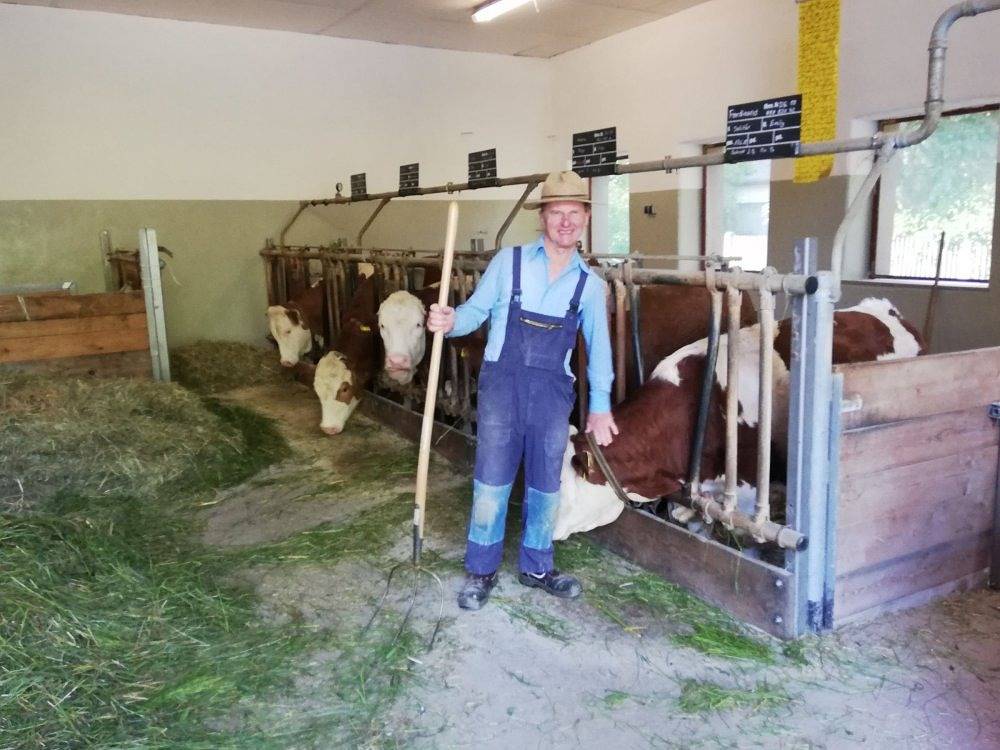 Ferienbauernhof Moarhof - Vergissmeinnicht in Wittelshofen, Romantische Straße