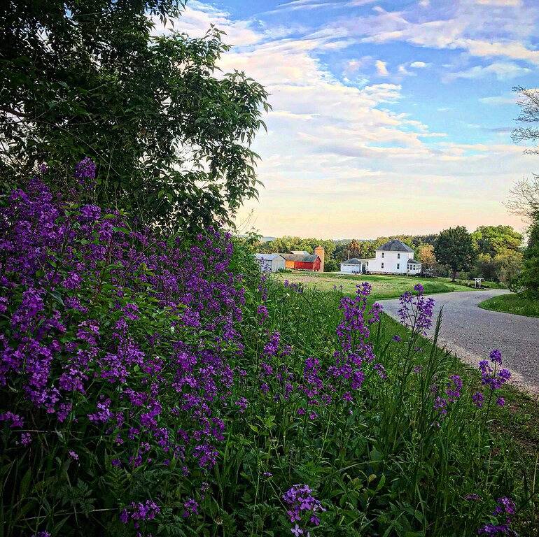 Restored Farmhouse Close to Wi Dells in Adams County (WI)
