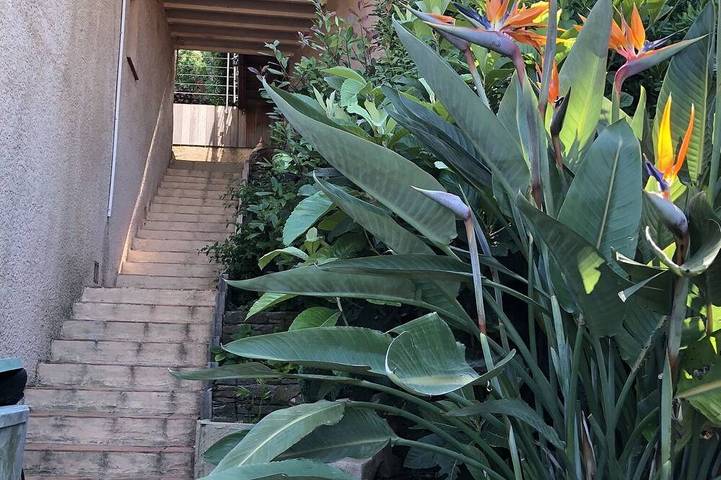 Logement zen sur la colline aux mimosas in Hyeres, Parc national de Port-Cros