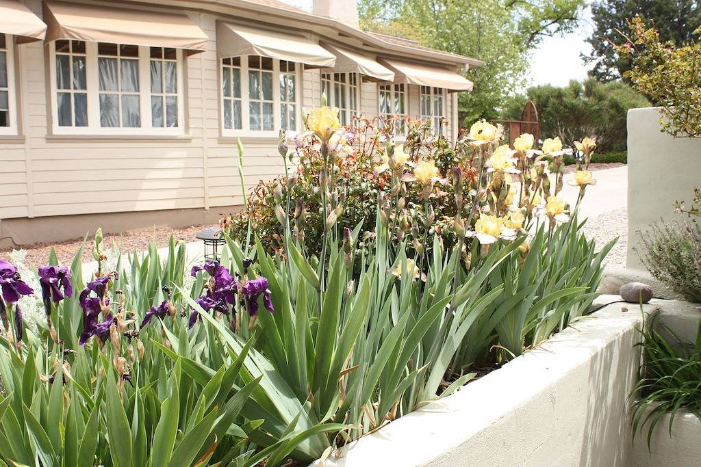 Gemütliche 1 Bedrm / 1 Bth, zu Fuß in die Innenstadt, tierfreundlich, umzäunten Hof, überdachte Terrasse in Prescott, Yavapai County