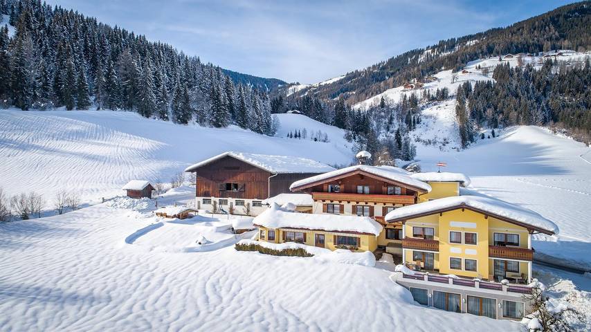 Bauernhof für 4 Personen, mit Garten und Sauna, kinderfreundlich in Flachau - 2