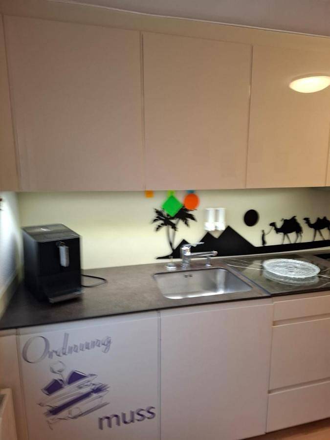 Ferienwohnung für 4 Personen, mit Balkon und Terrasse sowie Garten und Kinderpool in Morschach