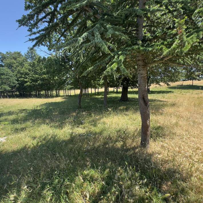 Camping für 4 Personen, mit Garten am Gargano - 3