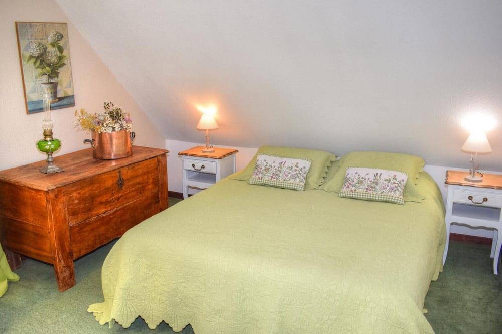 Gîte douillet en forêt d'Amboise, parc boisé 2.5 ha, cheminée, vélos, Wifi, jardin privé, animaux acceptés in Souvigny-de-Touraine, Région de Tours