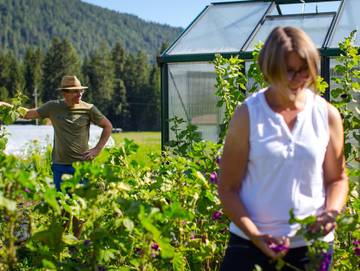 Bauernhof für 4 Personen in Leutasch, Österreichische Alpen, Bild 4