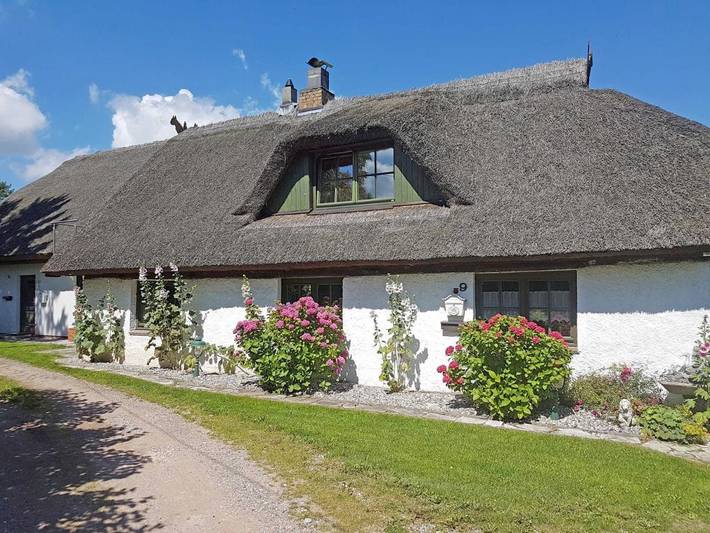 Ferienhaus für 7 Personen, mit Terrasse und Garten in Patzig - 4