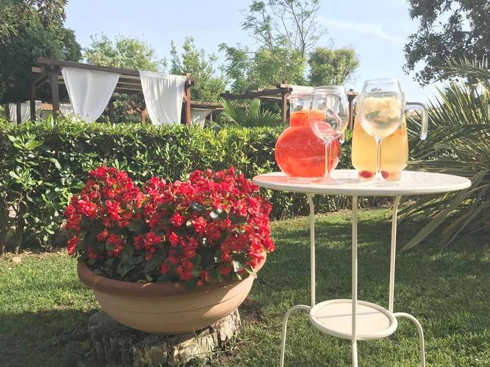 Hôtel pour 2 personnes, avec vue ainsi que jardin et bassin pour enfant, animaux acceptés à Fregene - 4