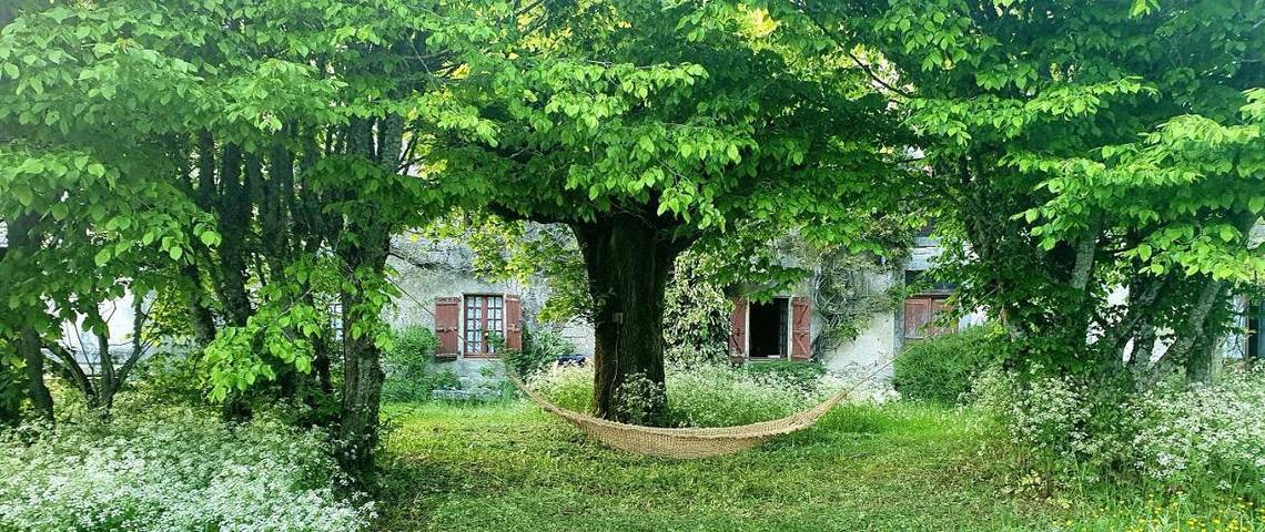 Gîte pour 14 personnes, avec terrasse ainsi que vue et jardin à Bassignac-le-Haut - 4