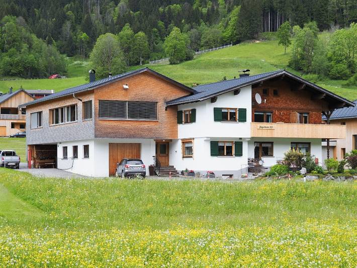 Ferienwohnung für 4 Personen, mit Balkon und Ausblick in Schoppernau - 2