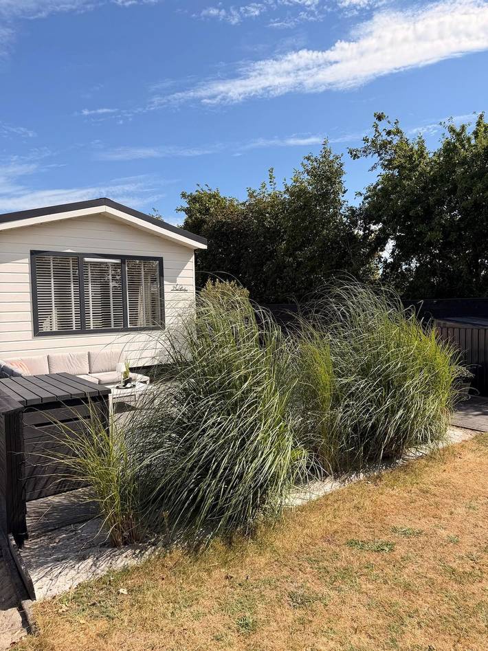 Location de vacances pour 4 personnes, avec Balcon/Terrasse et Terrasse à Petten - 3