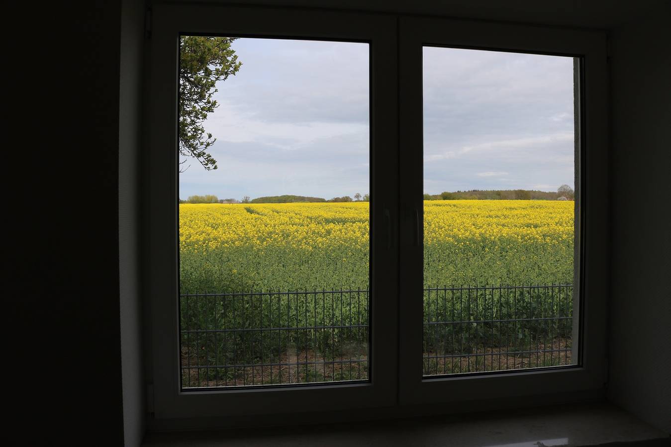 Vakantiehuis 'Klein Huis op een Veld' met Tuin & Wi-Fi in Rehna, Nordwestmecklenburg (Wismar en omgeving)