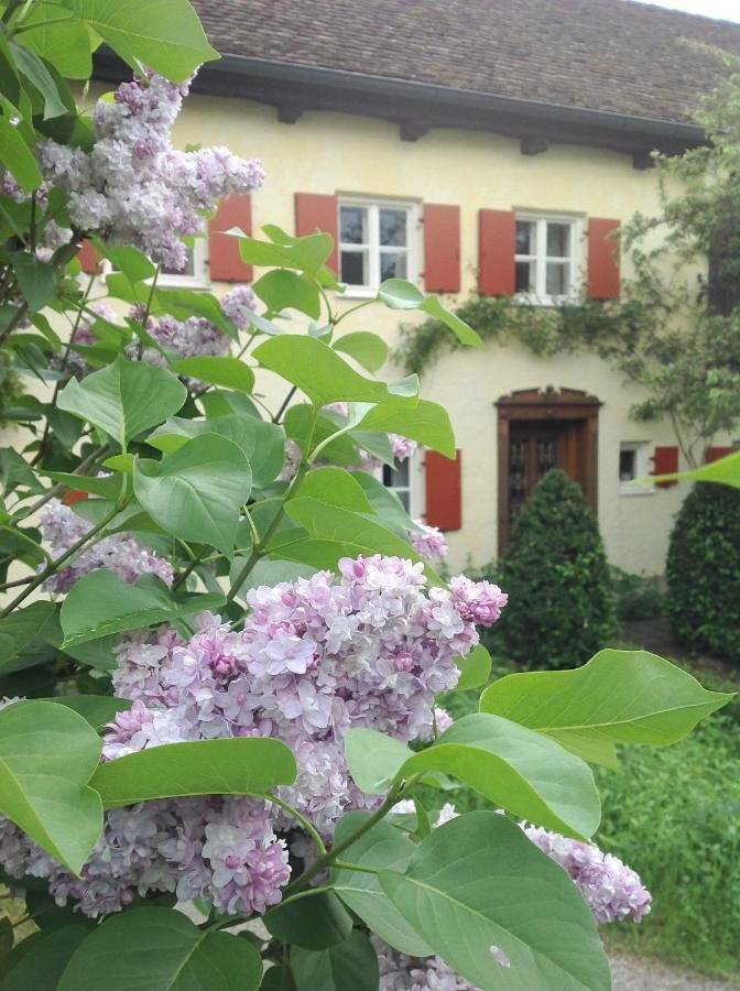 Ferienwohnung für 2 Personen, mit Terrasse und Garten in Schondorf