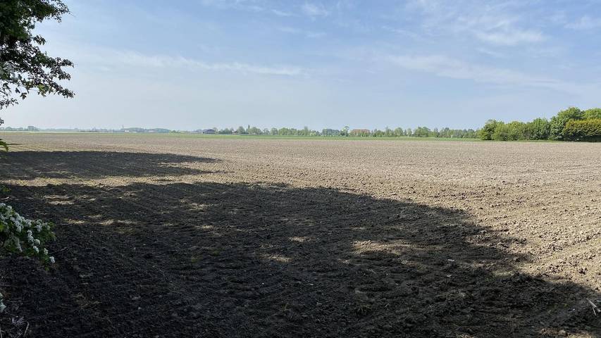 Ferienhaus für 3 Personen, mit Balkon/Terrasse und Terrasse in Walcheren - 2