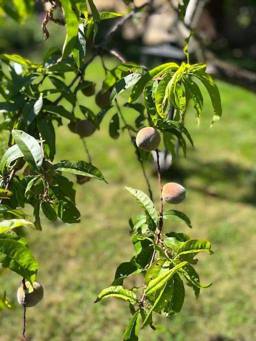 Gîte pour 4 personnes, avec terrasse et jardin à Sancé - 3