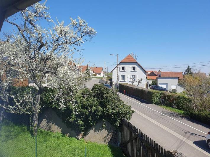 Gîte pour 4 personnes, avec vue, animaux acceptés à Wattwiller - 4