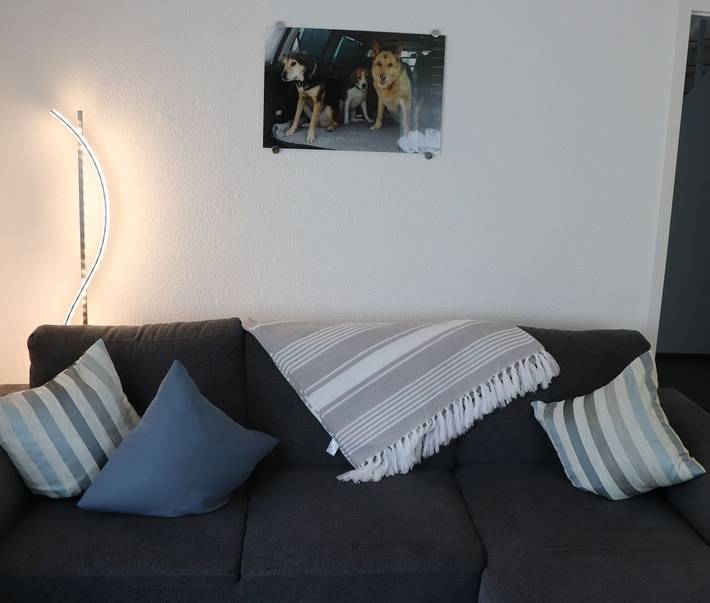 Ferienhaus für 4 Personen, mit Garten, mit Haustier in Dornum (Stadt) - 2