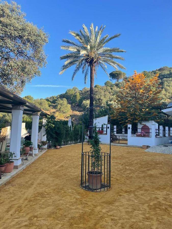 Casa rural para 8 personas, con jardín además de piscina y vistas en Vega del Guadalquivir - 4