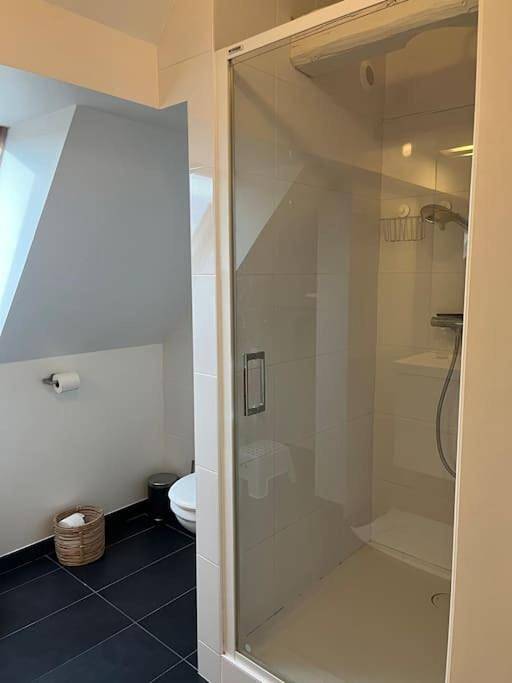 Location de vacances pour 12 personnes, avec terrasse, animaux acceptés à Entzheim - 3