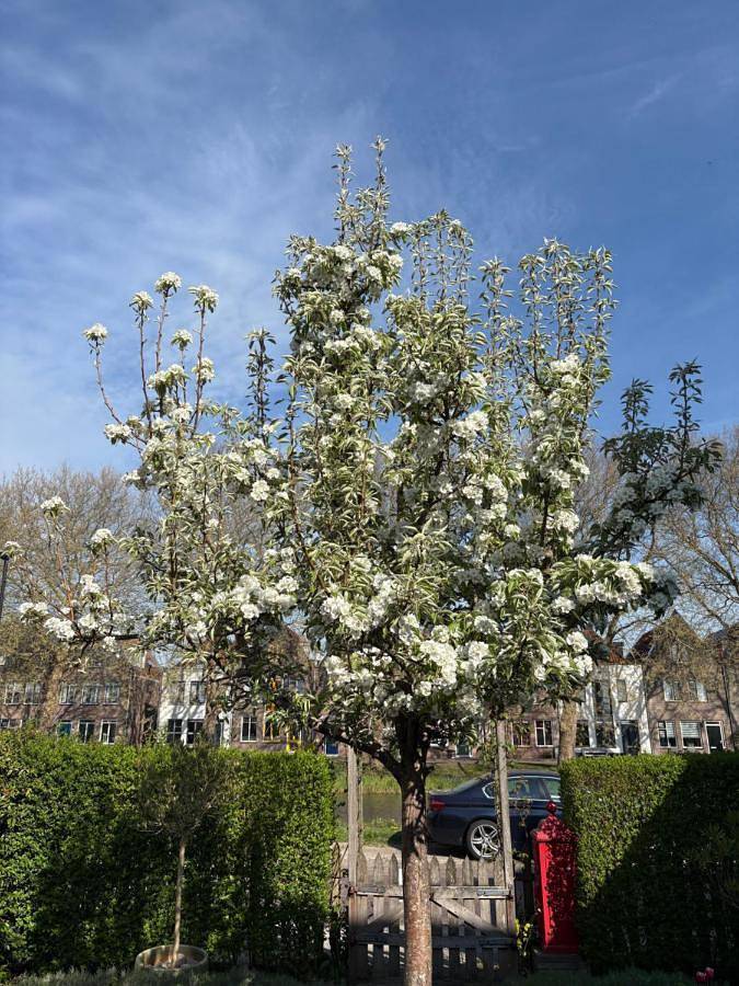 Gîte pour 4 personnes, avec vue et jardin dans Edam - 4