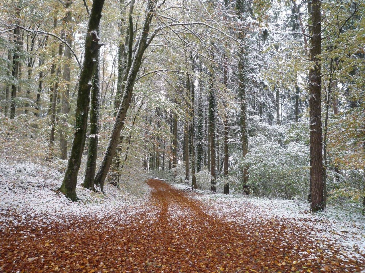 Ganze Ferienwohnung, Ferienwohnung für 4 Personen mit Balkon/Terrasse in Stockach, Landkreis Konstanz