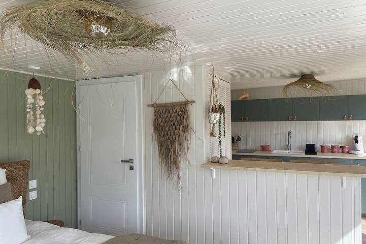 Péniche pour 2 personnes, animaux acceptés dans Île de France - 3