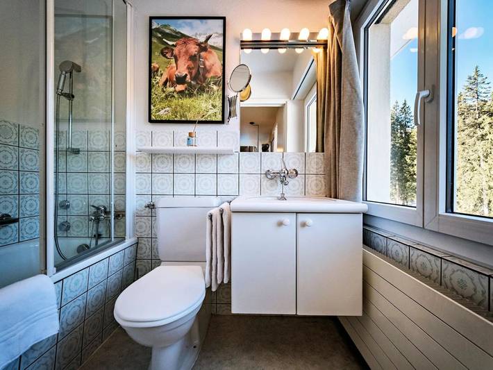Entire apartment, 1 Pièce 2 Personnes in Arosa, Plessur alps