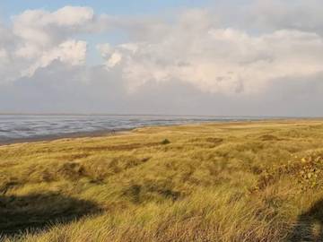 Vakantiehuis voor 10 Personen in Havneby, Rømø, Afbeelding 2