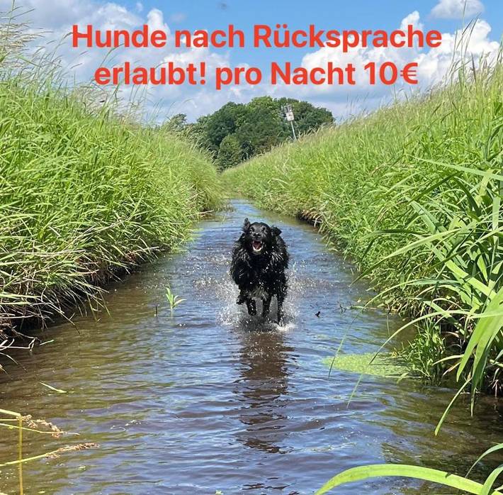 Location de vacances pour 7 personnes, avec jardin et vue à Walsrode - 4