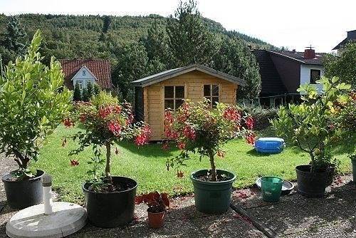 Ferienwohnung für 4 Personen, mit Terrasse und Garten in Wolfshagen - 3