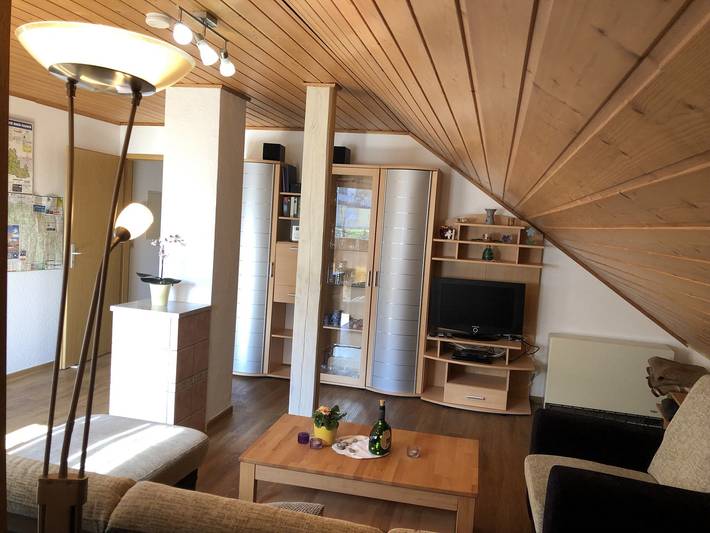 Ferienhaus für 5 Personen, mit Pool und Garten, kinderfreundlich in Tauberbischofsheim - 4